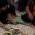camb_wg_IMG_2488.jpg